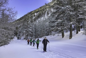 Het beste van Bansko: Magisch Sneeuwschoen Avontuur & SPA