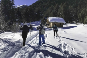 Het beste van Bansko: Magisch Sneeuwschoen Avontuur & SPA