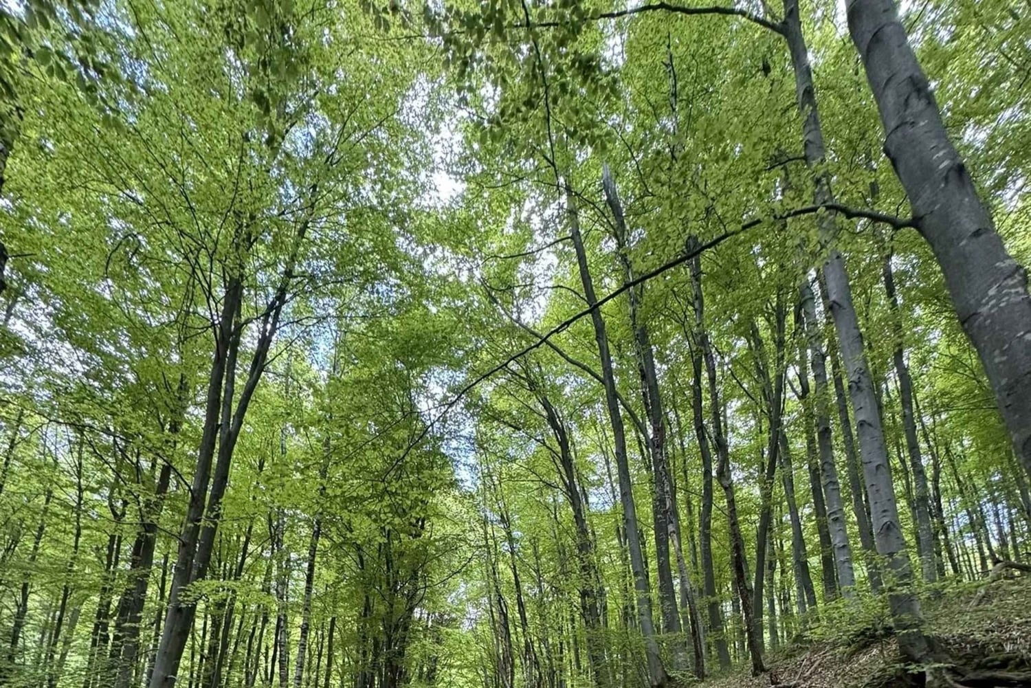 Trailrunning-avontuur