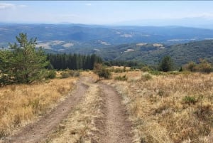 Trail Running Adventure