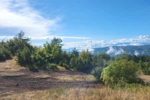 Trail Running Adventure