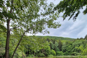 Trail Running Adventure