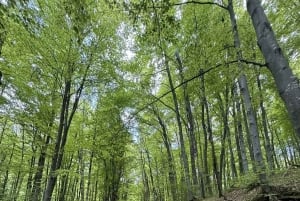 Trailrunning-avontuur