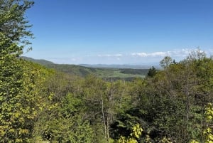 Trailrunning-avontuur