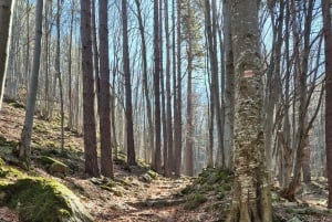 Trailrunning-avontuur