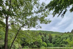 Trailrunning-avontuur