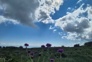 Trailrunning-avontuur