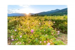 Ruusujen laakso ja Buzludzhan muistomerkki Eco Yksityinen kierros