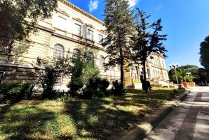 Varna: ticket archeologisch museum & e-gids