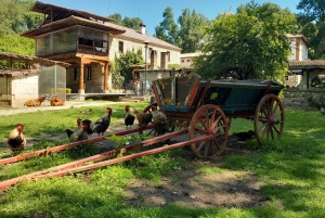 Варна: Экскурсия VIP с гидом