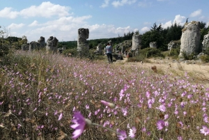 Варна: Экскурсия VIP с гидом