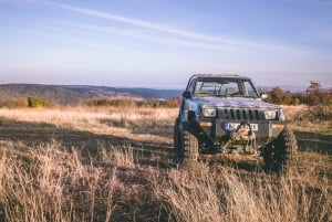 Guida una jeep fuoristrada Daihatsu o una Smart for Two