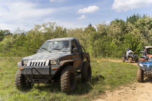 Guida una jeep fuoristrada Daihatsu o una Smart for Two