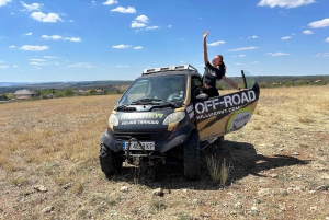 Guida una jeep fuoristrada Daihatsu o una Smart for Two