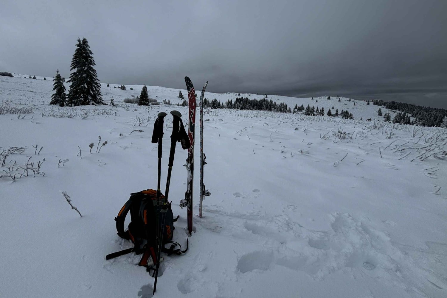 Vitosha: Skidagstur med Mountain Stars Skiskole