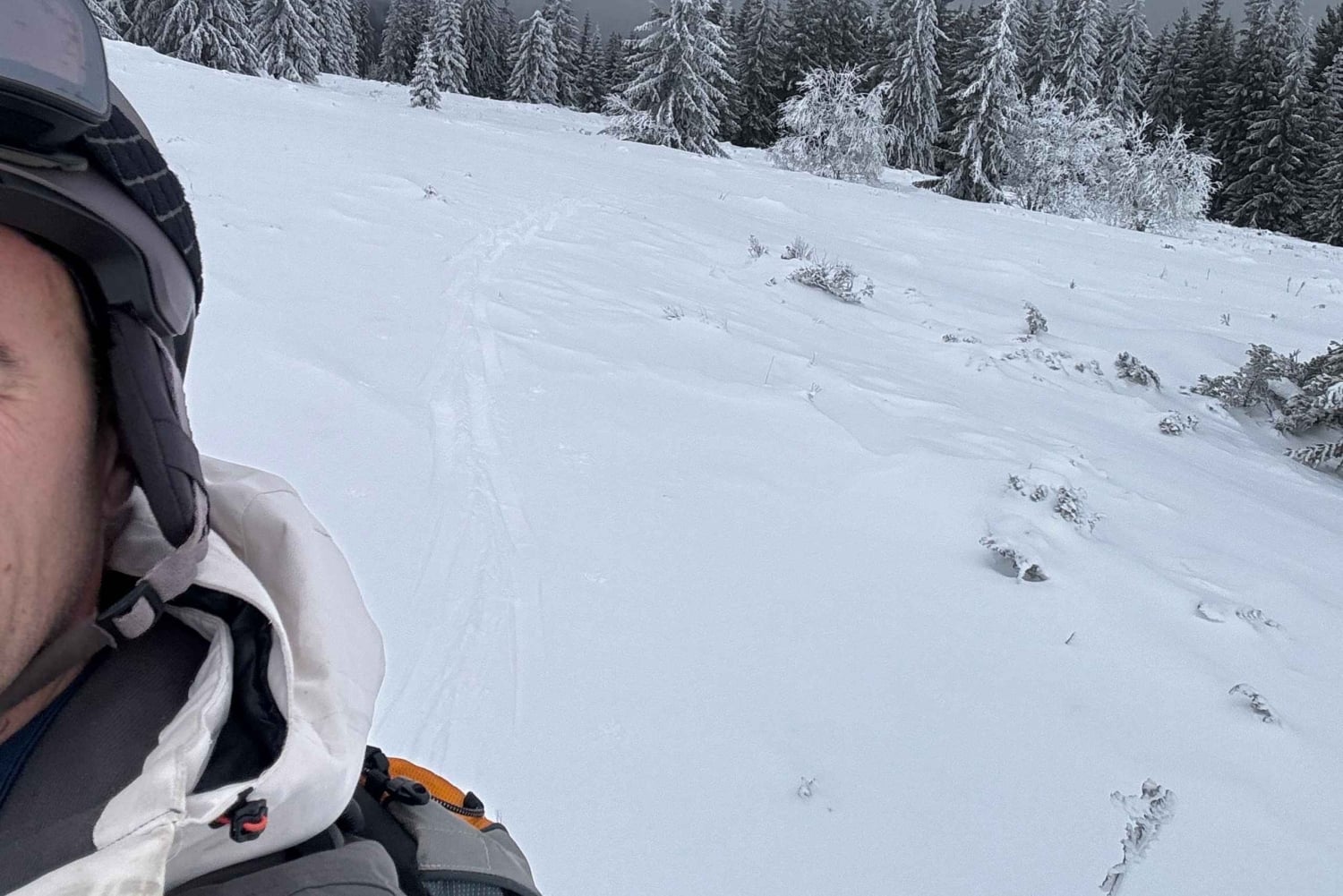 Vitosha: Skidagstur med Mountain Stars Skiskole