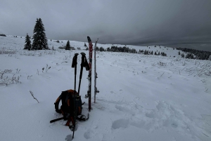 Vitosha: Ski Day Trip by Mountain Stars Ski School