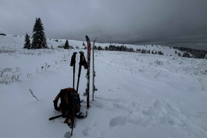 Vitosha: Skidagstur med Mountain Stars Skiskole