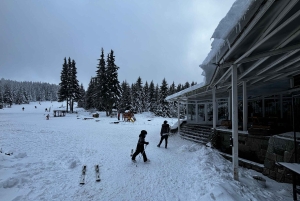 Vitosha: Skidagstur med Mountain Stars Skiskole