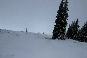 Vitosha: Skidagstur med Mountain Stars Skiskole