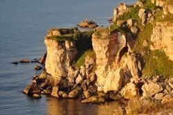 Black Sea Coast -  the Wild Places