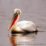 Bulgarian Sites on the UNESCO World Heritage List 