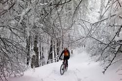 Nature Parks and Reserves in Bulgaria
