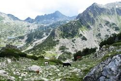 Nature Parks and Reserves in Bulgaria