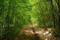 Nature Parks and Reserves in Bulgaria