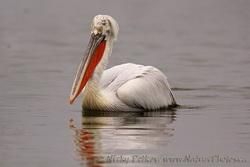 Nature Parks and Reserves in Bulgaria