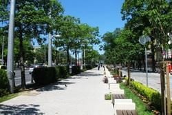 Sofia - the Capital of Bulgaria