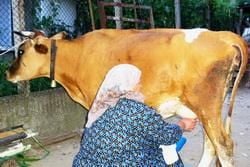 The Bulgarian Countryside - Culture and Tradition 