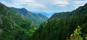 The Rhodope Mountains – Orpheus’s mountain