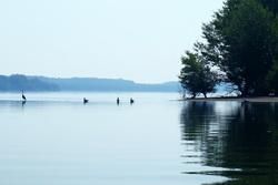 The Waters of Bulgaria
