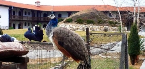 Unknown and Fun Facts about Bulgaria