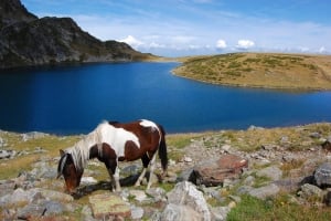 Beauty of Bulgarian mountains by I.Hristov
