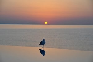 Dawn at Black Sea Coast