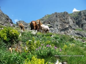 Heaven in the Central Balkan