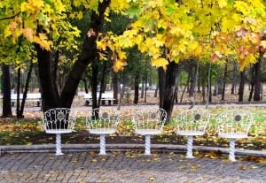 Park in Sofia - the capital of Bulgaria