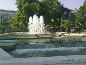 PHOTO CONTEST 'Pigeons' by Plamena Nankova