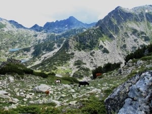 Pirin mountain