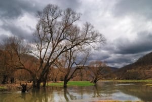 Strandza Mountain by D.Alexov