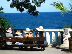 Summer in Sea Garden, Varna