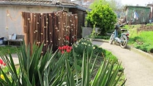 The Fisherman house, Sinemorec