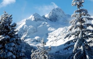 View to die for by WildFunClub