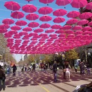 Vitosha Street in Sofia