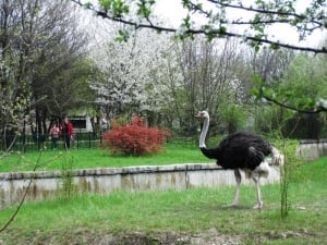Zoo in Sofia
