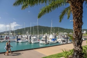 14-dagers komfortabel tur fra Sydney til Cairns, Fraser og Whitsundays