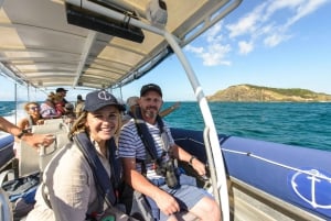 Ballina: Julian Rocks & Byron Bay Coastal Cruise with Guide
