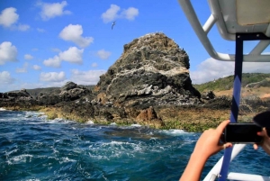 Ballina: Julian Rocks & Byron Bay Coastal Cruise with Guide